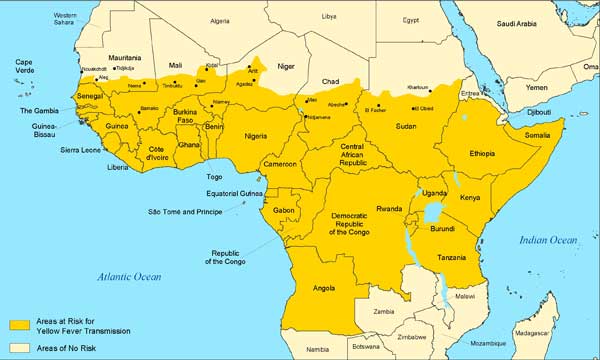 gelbfieberverbreitung afrika